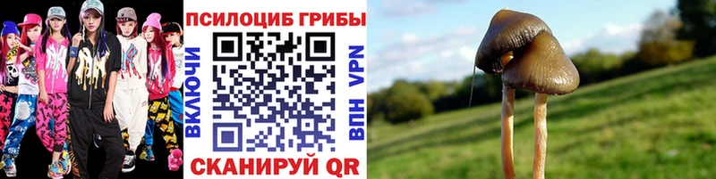 Псилоцибиновые грибы Magic Shrooms  Купить где  Кушва 